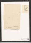 Plagiotropis vitrea (W. Sm.) Grun. (de-Toni-Nr.: Genus 30, Species 1367) Zeichnungen Sammlung Grunow (NHMW-BOT-W0369807)